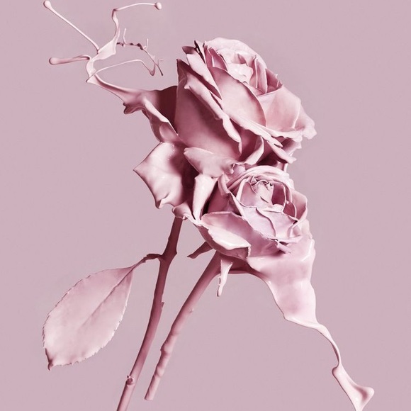 Meet your Posher, Jada - Picture 1 of 1